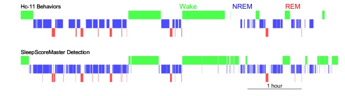 Figure 2—figure supplement 4.