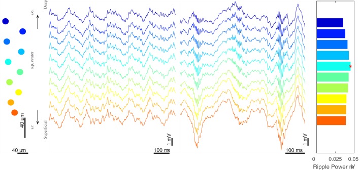 Figure 1—figure supplement 1.