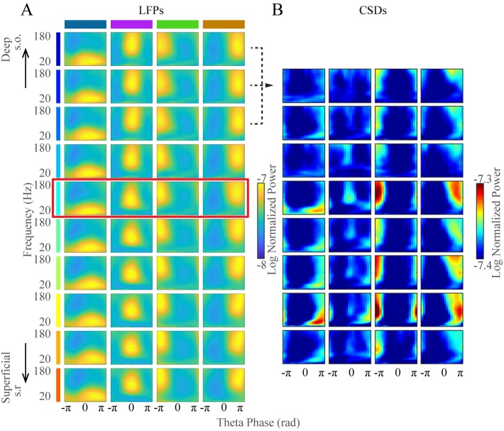 Figure 1—figure supplement 3.