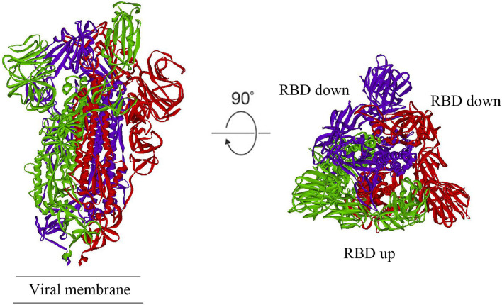 Fig 1