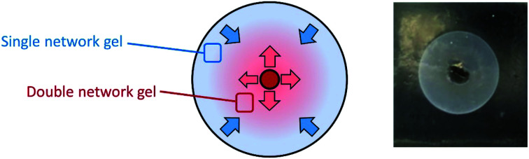 graphic file with name d0sc06862d-ga.jpg