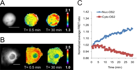 FIGURE 4.