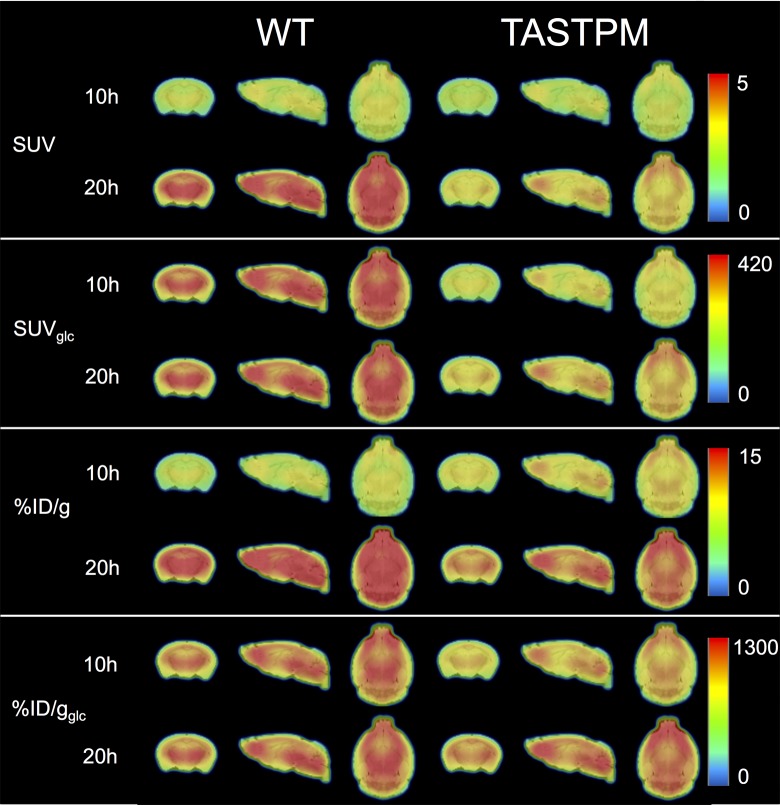 Figure 4.