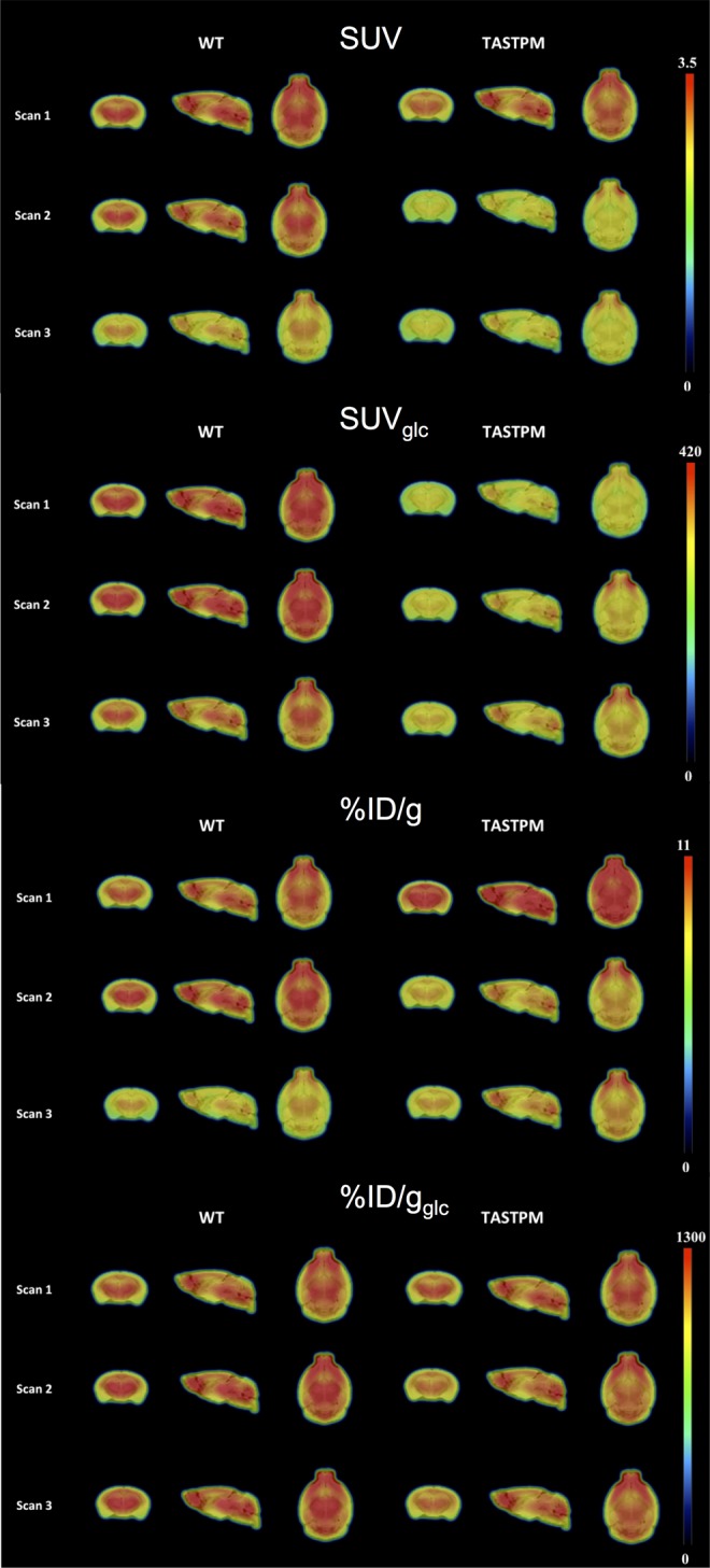 Figure 7.