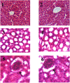 Fig 12