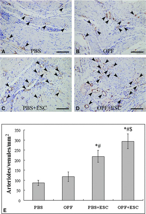 Fig 8