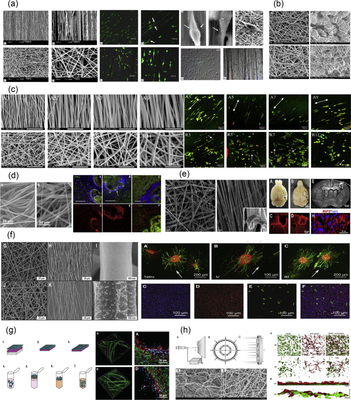 Fig. 13