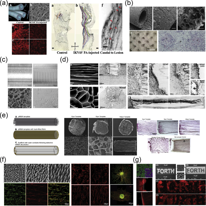 Fig. 15