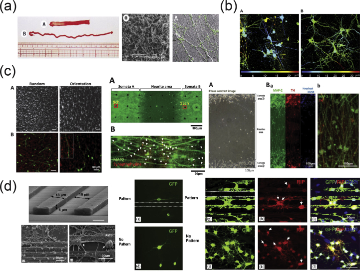 Fig. 12