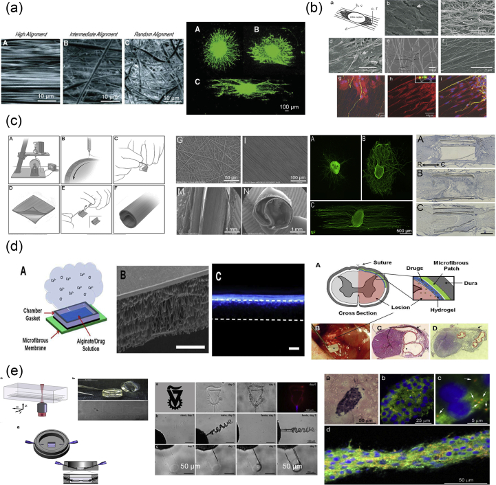 Fig. 16