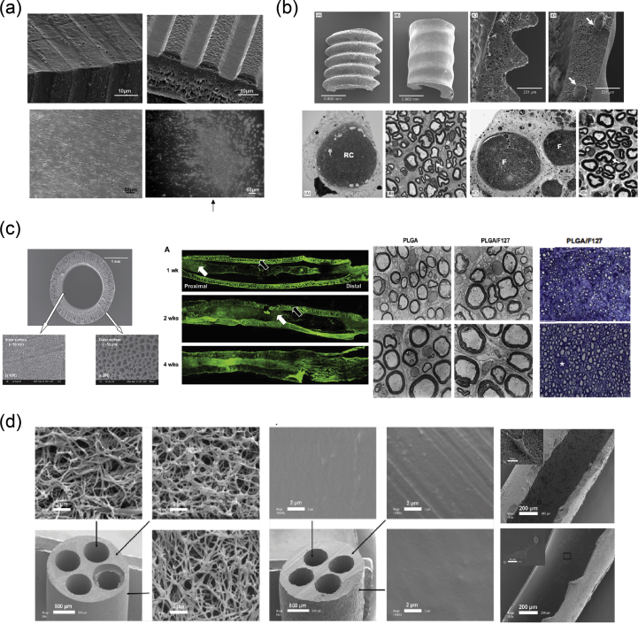 Fig. 8