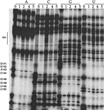 FIGURE 4.