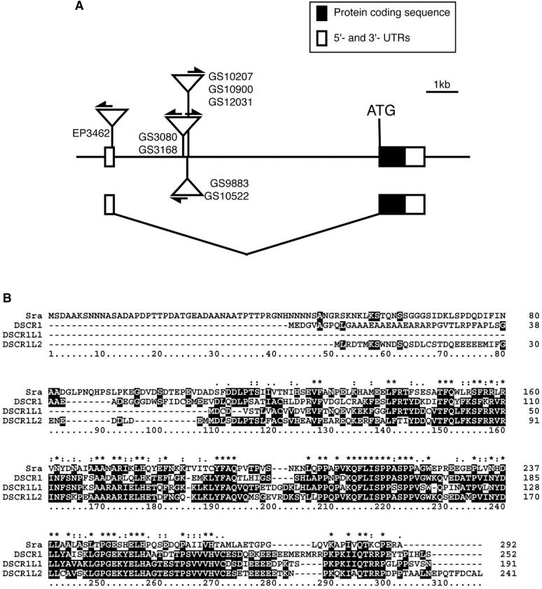 Figure 3.—