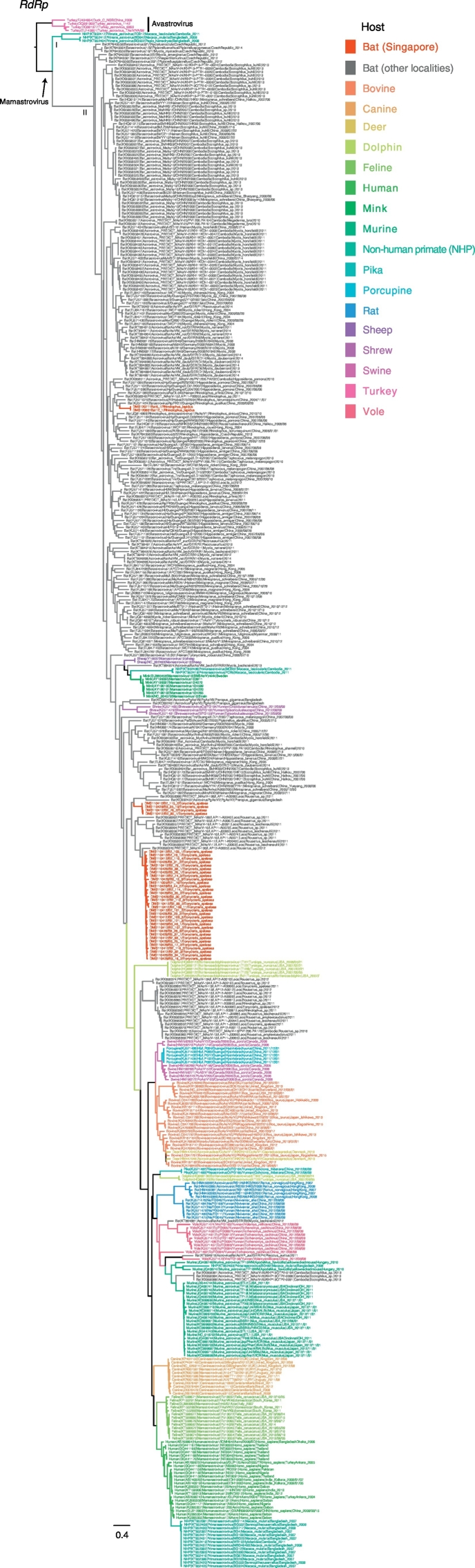 Supplementary Fig. 1