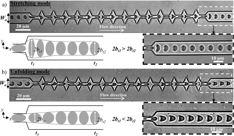 FIG. 3.