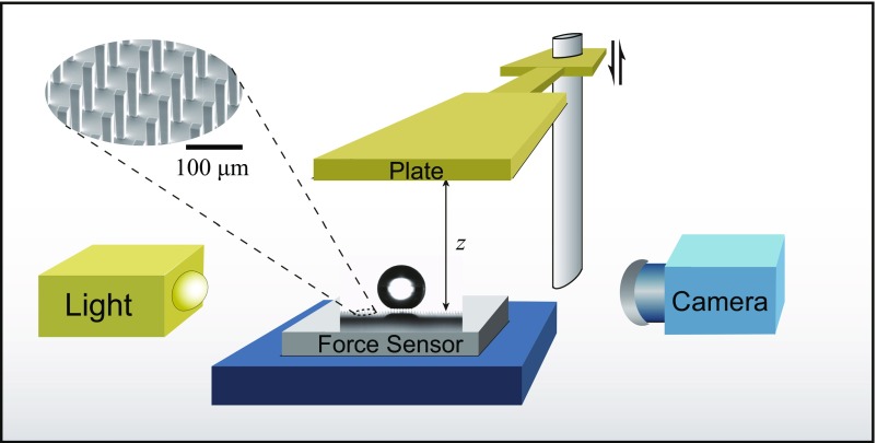 Fig. 1.