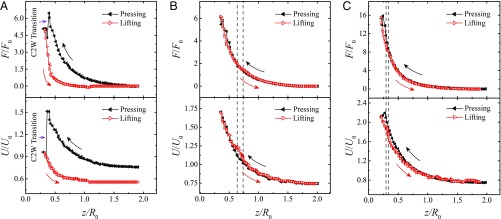 Fig. 3.