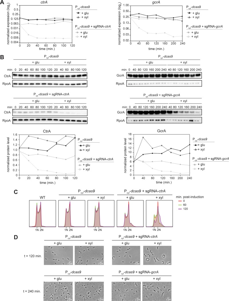 FIG 2