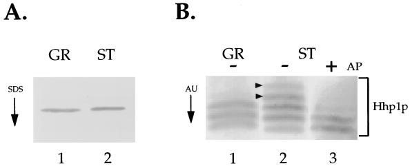 FIG. 7