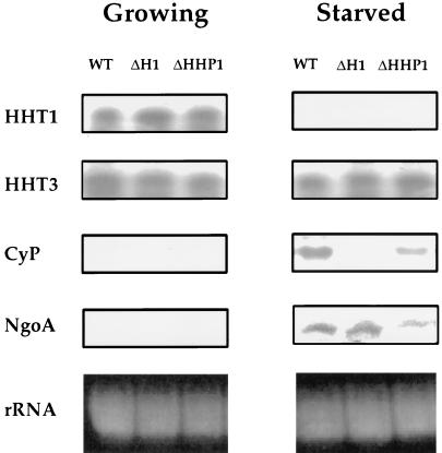 FIG. 8