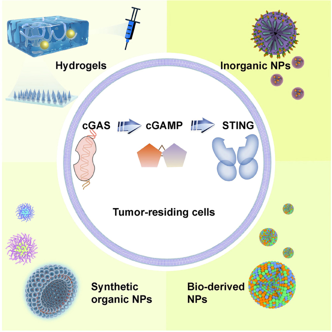 graphic file with name fx1.jpg