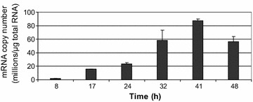 Fig. 4