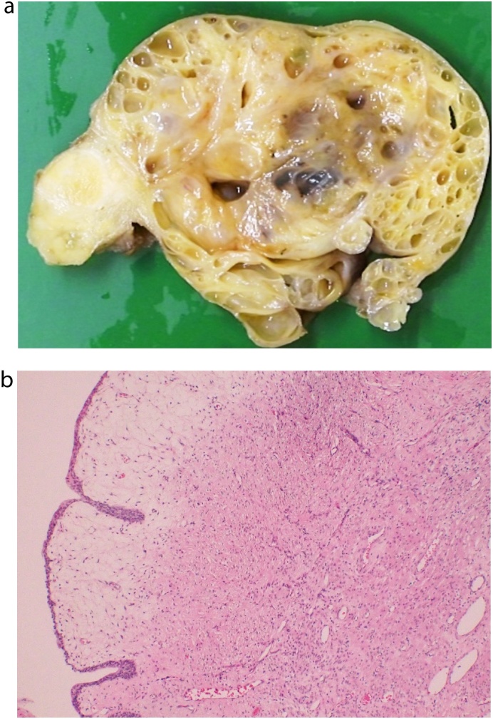 Fig. 4