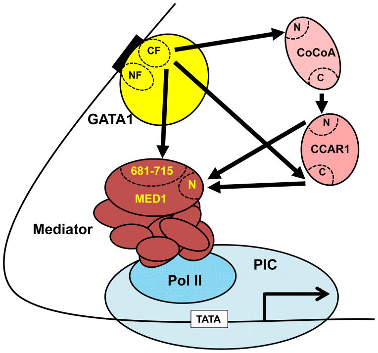 Figure 9