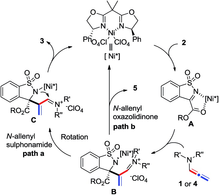 Scheme 5