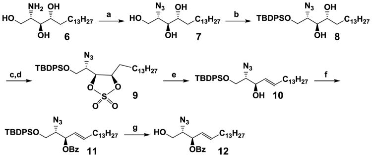 Scheme 2