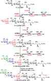 Scheme 4