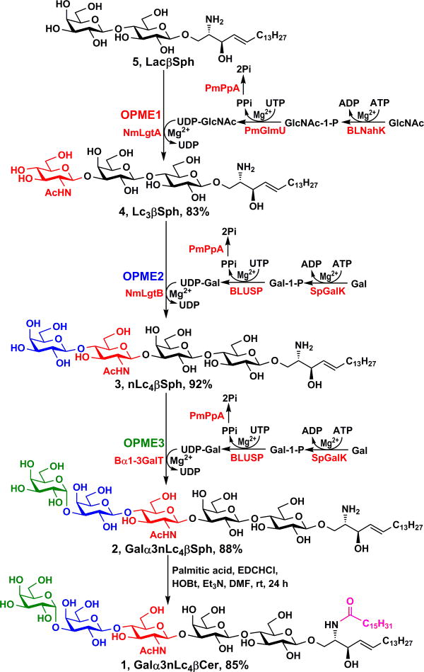 Scheme 4