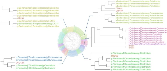 FIG 3