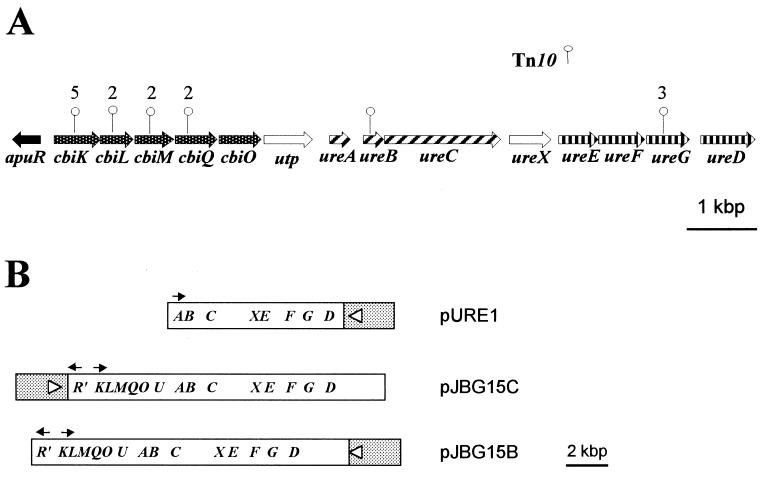 FIG. 1