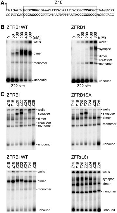 Figure 6.