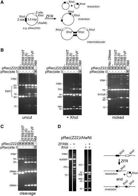 Figure 4.