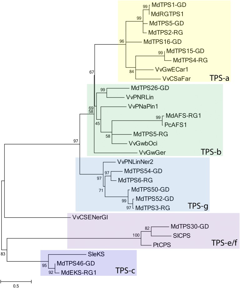 Figure 4.