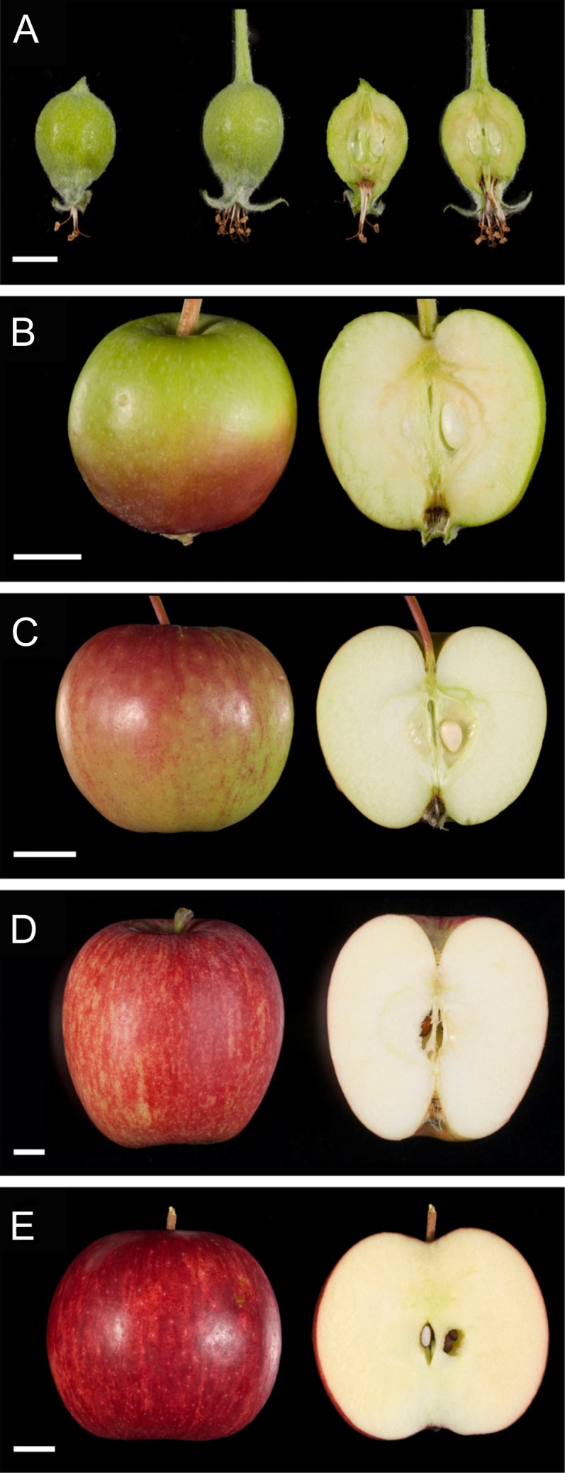 Figure 3.