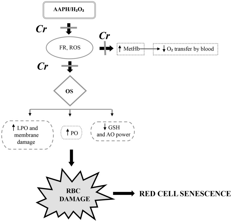 Fig 10
