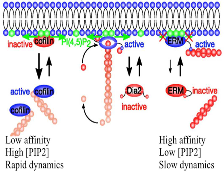 Figure 7.