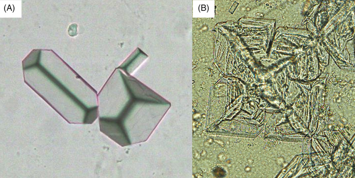 FIGURE 3