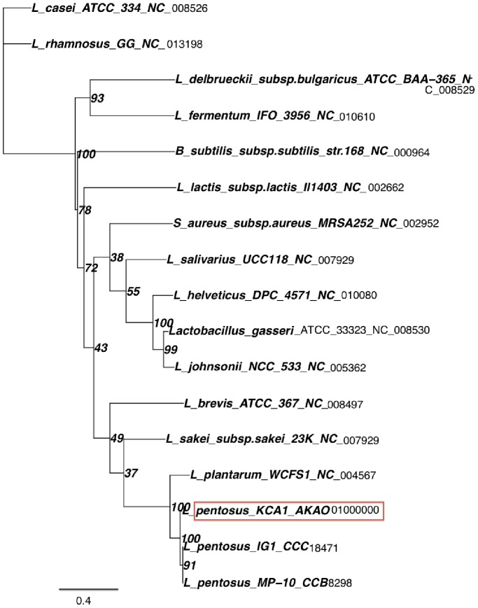 Figure 4