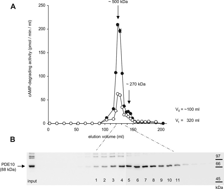 FIGURE 10.