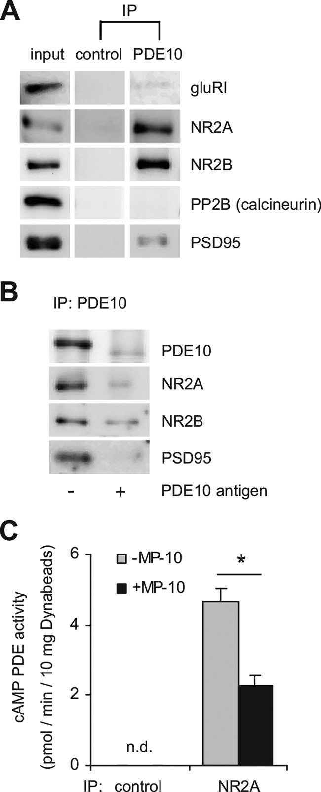 FIGURE 9.