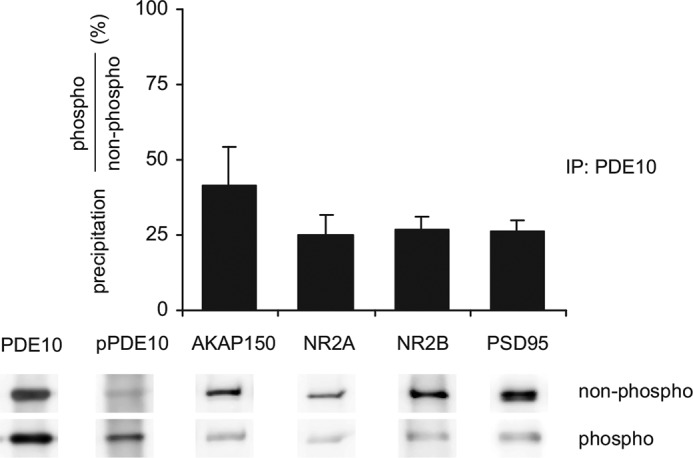 FIGURE 11.