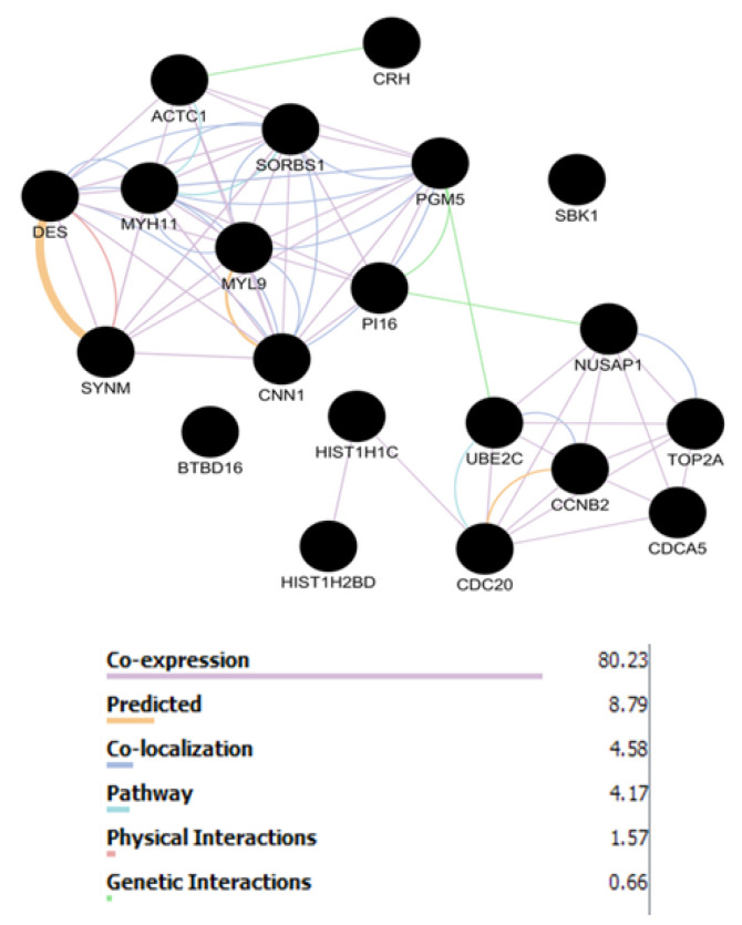 Figure 6