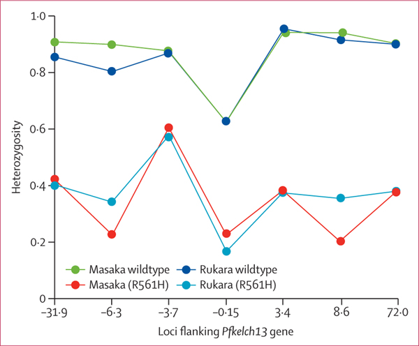 Figure 2: