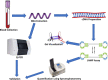 Image, graphical abstract