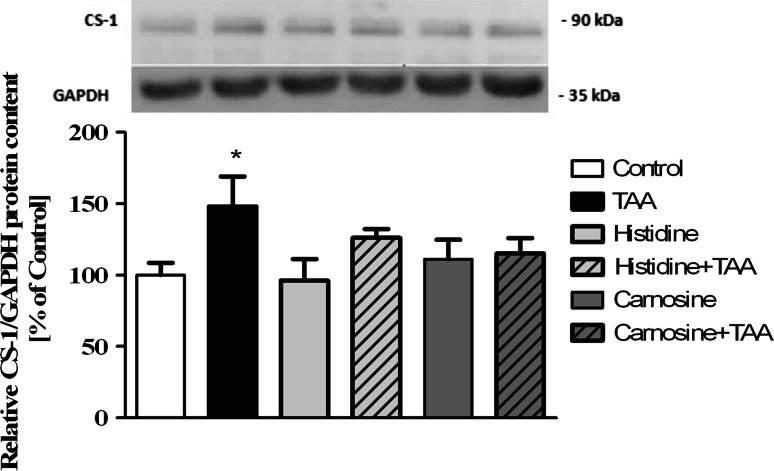 Fig. 6