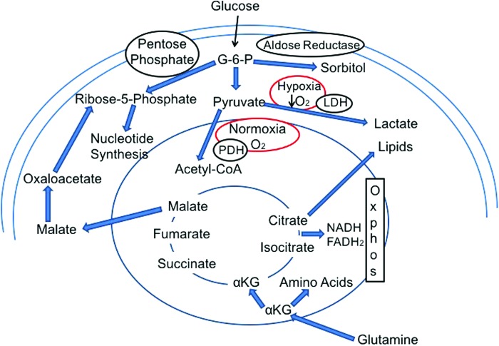 FIG. 3.